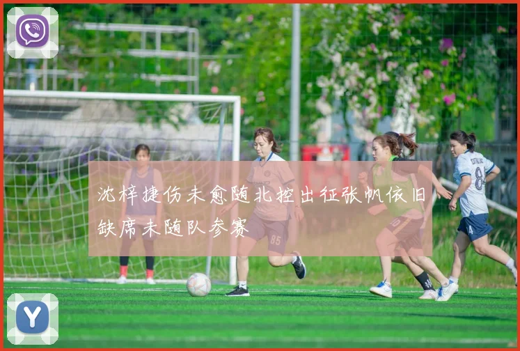 沈梓捷伤未愈随北控出征张帆依旧缺席未随队参赛